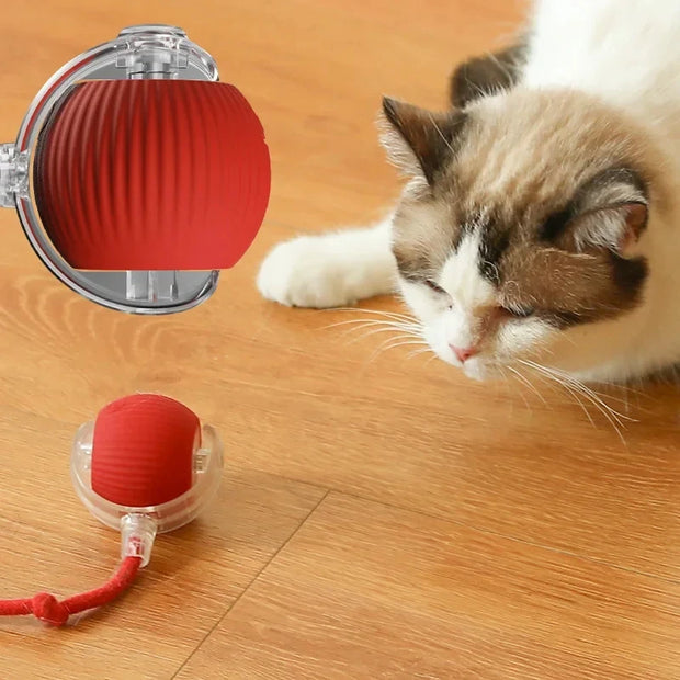 Cat toy ball self hi ball teasing cat rolling ball hair pet relieve boredom