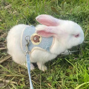 Newest Cute Rabbit Harness and Leash Set Bunny Pet Accessories