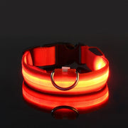 Dog Collar Nylon LED Night Safety Flashing Glow In The Dark Pet