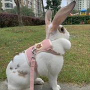 Newest Cute Rabbit Harness and Leash Set Bunny Pet Accessories