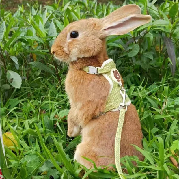 Newest Cute Rabbit Harness and Leash Set Bunny Pet Accessories