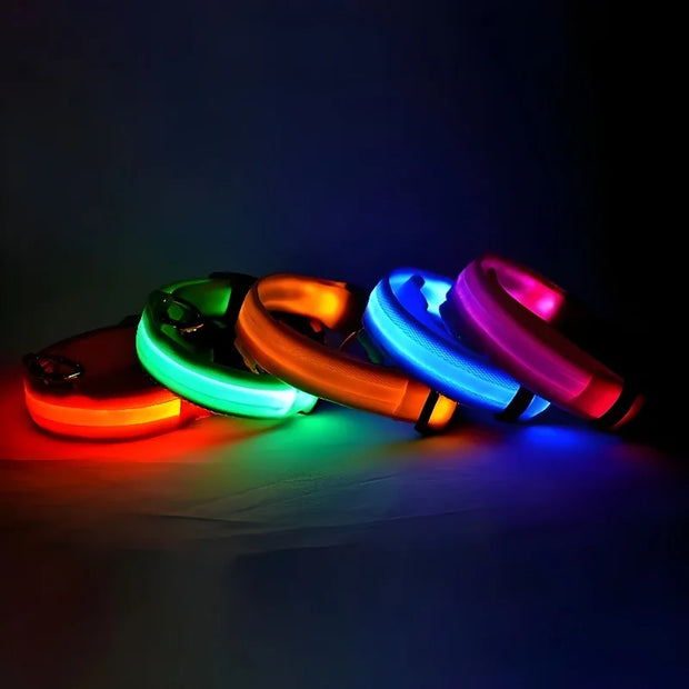 Dog Collar Nylon LED Night Safety Flashing Glow In The Dark Pet