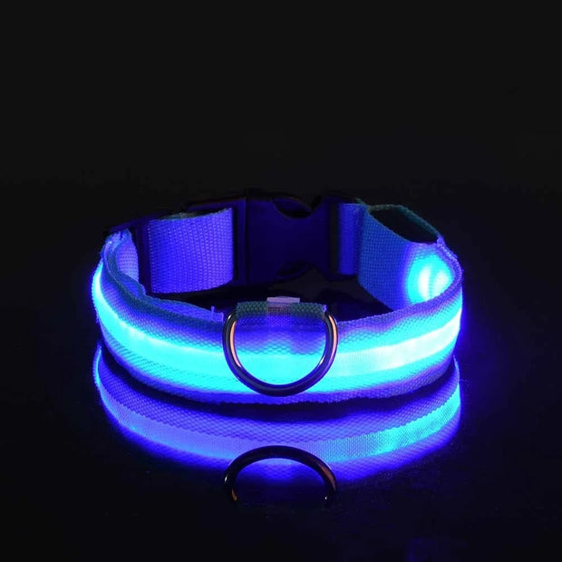 Dog Collar Nylon LED Night Safety Flashing Glow In The Dark Pet