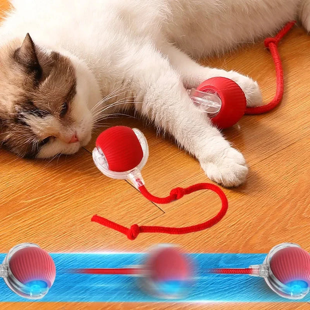 Cat toy ball self hi ball teasing cat rolling ball hair pet relieve boredom