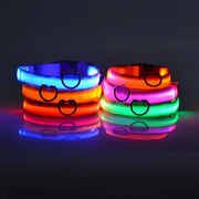 Dog Collar Nylon LED Night Safety Flashing Glow In The Dark Pet