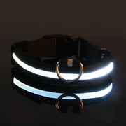 Dog Collar Nylon LED Night Safety Flashing Glow In The Dark Pet