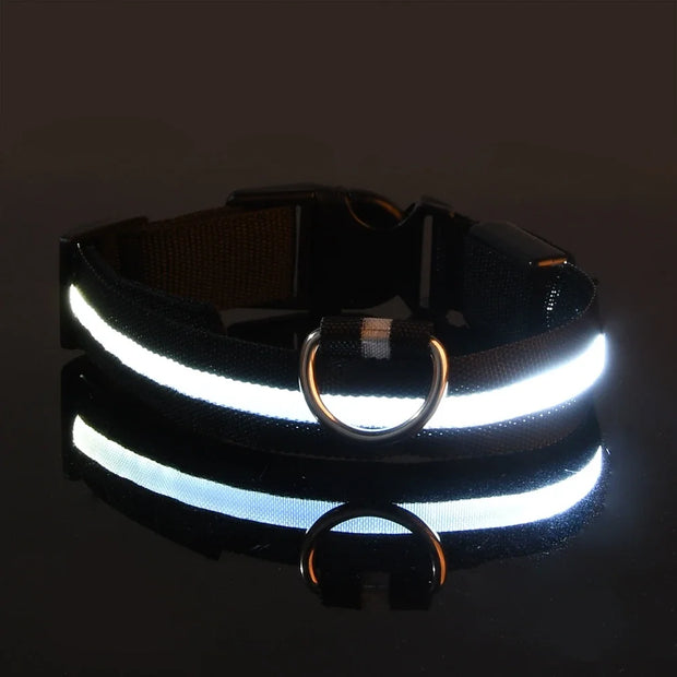 Dog Collar Nylon LED Night Safety Flashing Glow In The Dark Pet