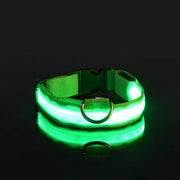 Dog Collar Nylon LED Night Safety Flashing Glow In The Dark Pet