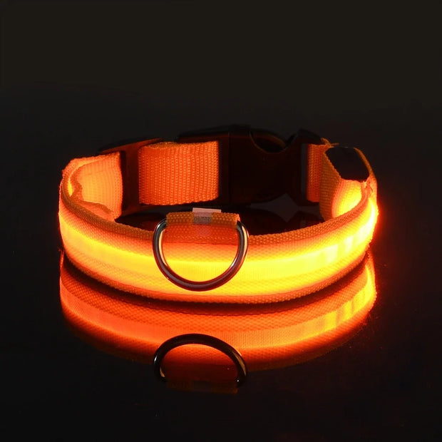 Dog Collar Nylon LED Night Safety Flashing Glow In The Dark Pet