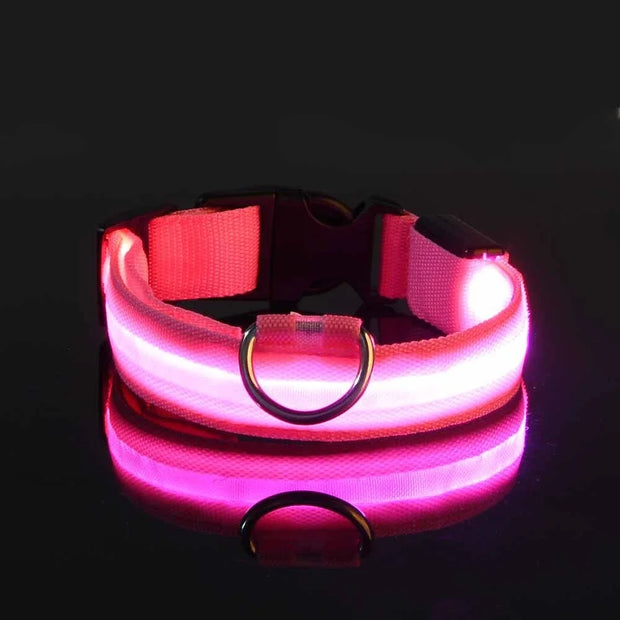 Dog Collar Nylon LED Night Safety Flashing Glow In The Dark Pet