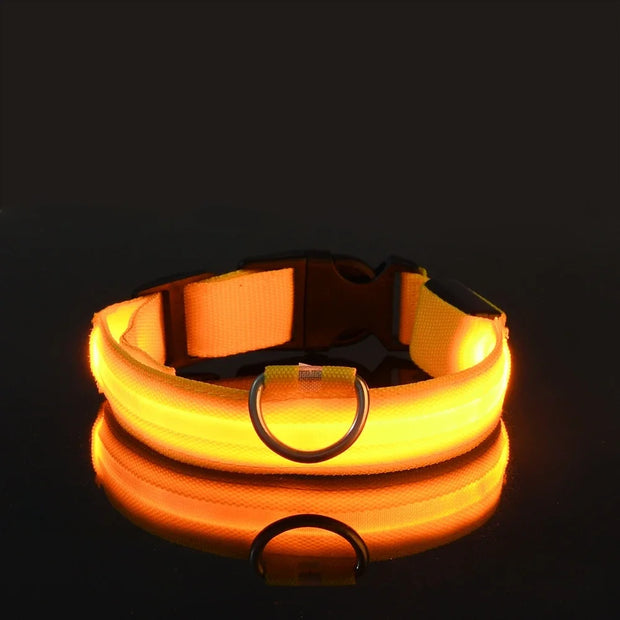 Dog Collar Nylon LED Night Safety Flashing Glow In The Dark Pet